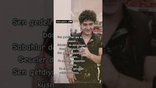 Sen Gedeli Her Sey Biraz Basqadi