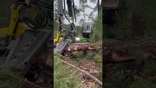 How Does The Impressive Harvester 1270G Process The Tree #Harvester #Johndeere #Wood #Tree #Viral