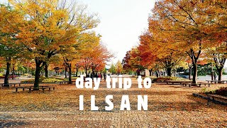 Ilsan - Bts Rms Hometown Day Trip From Seoul