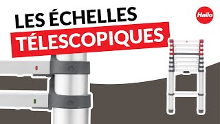 Découvrez Les Échelles Télescopiques 3M, 4M Et 5M Hailo Flexline