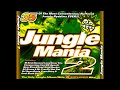 Various - Jungle Mania Vol. 2 (1994)