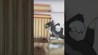 Got You Tom And Jerry