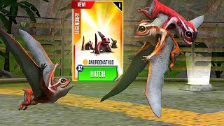 New Legendary Vip Anurognathus Max Level 40 Juric World The Game