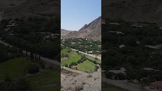 بدر