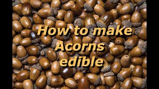 How To Make Acorns Edible