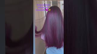 Majerial 9.98 Igora Royal Violeta Colour