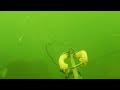 pesca de mojarra tilapia con arpon en el rio balsas 2