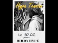 Birdy Hype - Hypa tension