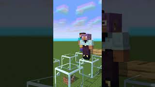 Steve Help Me Animation