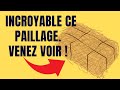 Incroyable ce paillage.Venez voir !