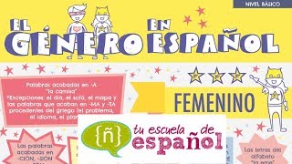 Aprender Español: Clase En Directo Sobre El Género De Los Nombres (Nivel Básico)