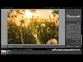 How to Process a RAW Image File in Adobe Lightroom 4 - Short Version