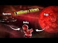 The Journey of Sperm and Egg: The Fertilization Process | Pregnancy | Conception Explained in Urdu