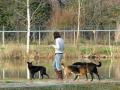 dierenthuis.nl 34 dierenthuis.nl 34