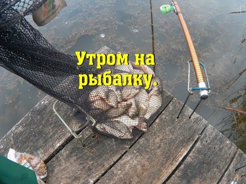 Донные снасти своими руками на мирную рыбу Донные снасти своими руками на мирную рыбу