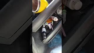 Meraklabeklenen Canlıyayın Tekrar लल