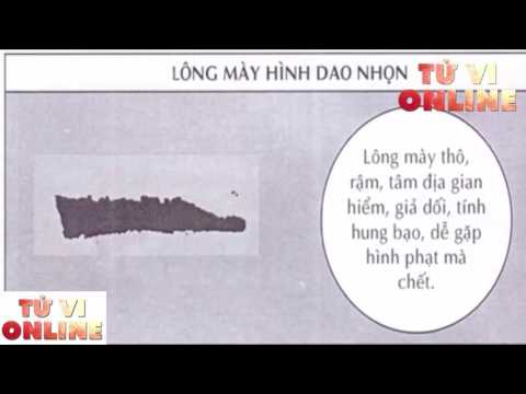 Tử Vi Online 2016 - Coi Tướng Lông Mày Tốt Xấu