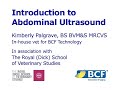 BCF Technology Abdominal Ultrasound Video 1 -- Introduction and ultrasound machine controls