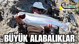 Doğru Bilinen Yanlışlar...renat Yemlere Peş Peşe Düşen Trofe Büyükler. Alabalık Avı