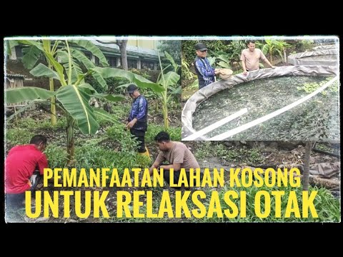 Tempat persembunyian demit di sulap untuk Budidaya Ikan dan tanam sayuran