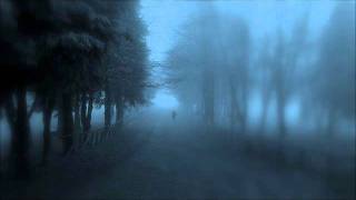 Watch Unknownn Nocturnal video