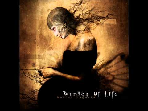 WitHer Video
