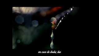 Watch Bjork Pleasure Is All Mine video