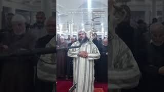 Cat jumps on sheikh leading prayer. See his reaction