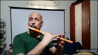 Rasathi Unnai Flute Sasi Menon