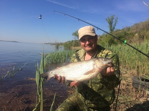 как ловит голавля на речке как ловит голавля на речке