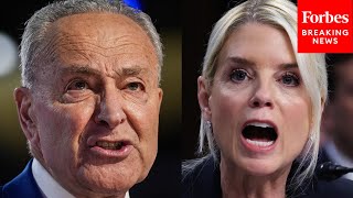 Chuck Schumer Drops The Hammer On Woefully Unqualified Ag Bondi After Her Senate Appearance