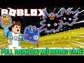 Roblox | DẪN PET RAINBOW MỞ RƯƠNG VÀNG KHỔNG LỒ SIÊU NHANH - Pet Simulator | KiA Phạm