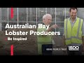 Australian Bay Lobster Producers - Be Inspired