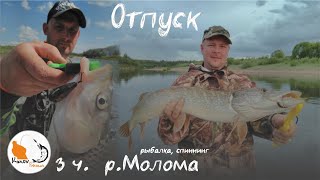 Рыбалка на Моломе. Лето 2019. 3 часть, заключительная.