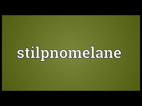 Header of stilpnomelane