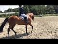 Jessica Mol - Zie-Zo | M1 - Proef 16 | Heiloo
