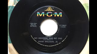 Watch Hank Williams Jr No Meaning And No End video