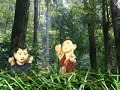 Kisah 25 Nabi Serial Bonek Edukasi Nabi Adam Youtube images Kisah 25 Nabi Serial Bonek Edukasi Nabi Adam Youtube