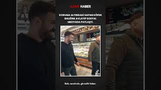 Koruma Altındaki Sapan Köpek Balığını Avlayıp Temel Reis Won Notuyla Sosyal Medyada Paylaştı.