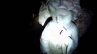 Watch School Of Seven Bells White Elephant Coat video