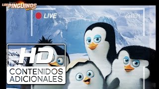 Los Pingüinos de Madagascar | Documental de la Antártida