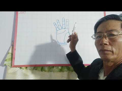 🔴 Cách Xem Chỉ Tay Dễ Hiểu Nhât.xem chỉ tay căn bản