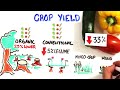 Is Organic Food Worse For You Is Organic Food Worse For You