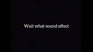 Wait What Sound Effect