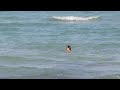 image Jessica Sutta Hot Bikini Di Pantai Miami