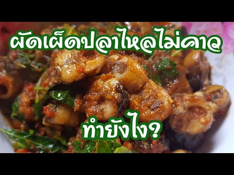 ผัดเผ็ดปลาไหลไม่ให้คาว แซ่บๆแบบง่ายๆ รับรองอร่อยถูกใจแน่นอนค่ะ ep.71