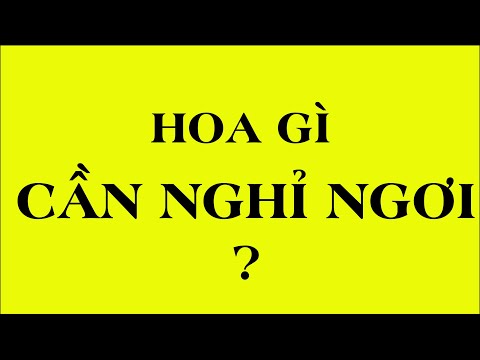10 câu đố mẹo hay ngắn hack não chủ đề hoa