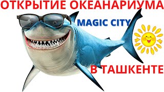 Открытие Нового Океанариума В Ташкенте - Magic City 20 Марта