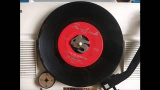 The Lemon Drops - I live in the springtime (60'S FUZZ GARAGE PUNK)