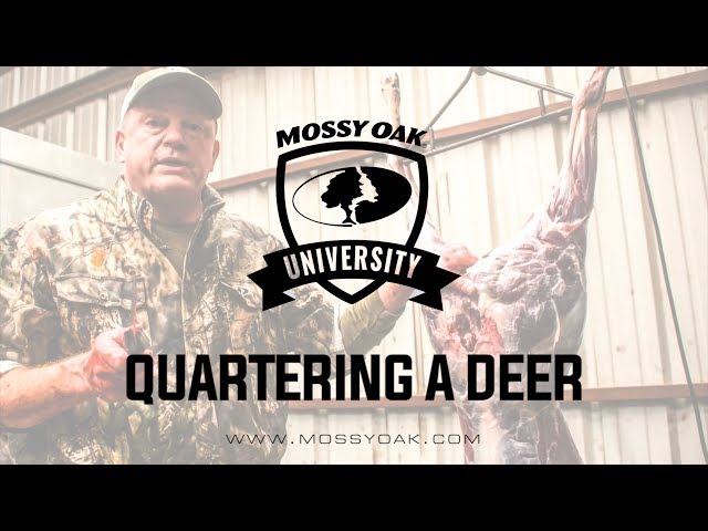 Watch How To Butcher and Process a Deer at Home - Quartering a Deer on YouTube.